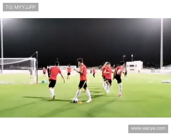 西安网球队快攻战术解析与实践探讨