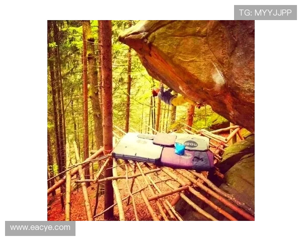 成都攀岩队技术对比深度解析与训练方法探讨