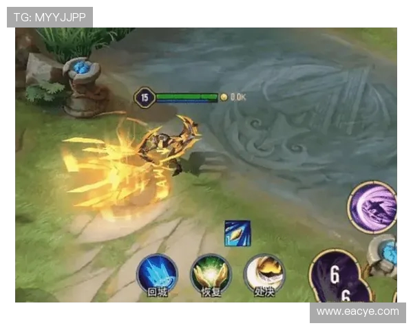 探讨FPX在王者荣耀赛场上的实力与战术分析