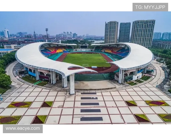 杭州排球队运营革新探索：提升竞技水平与商业价值的双重路径