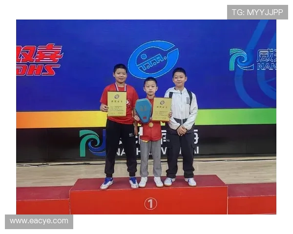 武汉乒乓球队灵活性分析与表现评估的深度研究与探讨