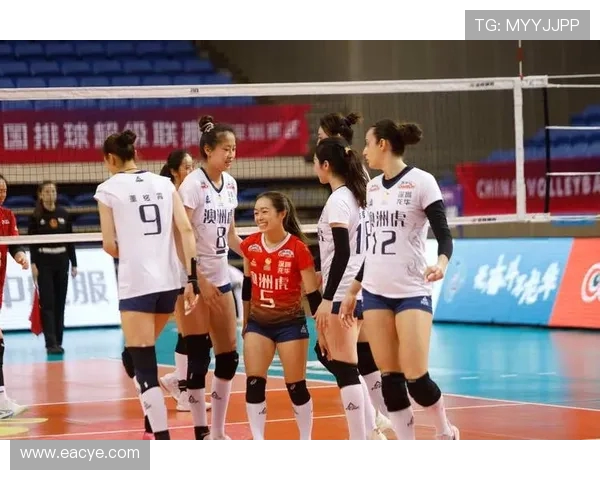 深圳排球队在排球个人能力排行榜中荣登第六名展现强劲实力与潜力