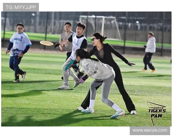 飞盘竞技的魅力：深入武汉飞盘队的团队协作与精神探讨