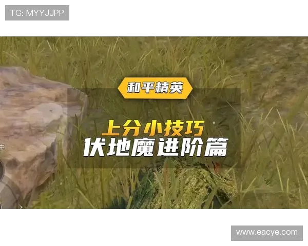 和平精英V5版本防反机制深度解析与实战应用技巧分享