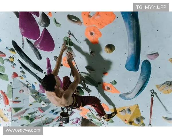 杭州极限运动队在世界攀岩锦标赛中的意识表现分析与点评